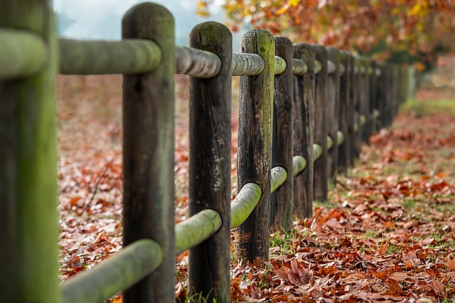 fence-posts-2331414_640